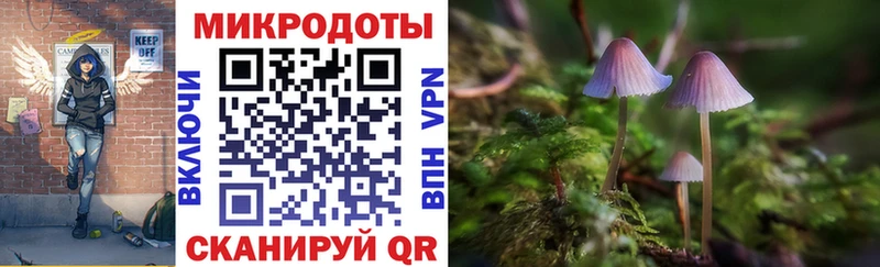 Галлюциногенные грибы Magic Shrooms  МЕГА зеркало  Любань 